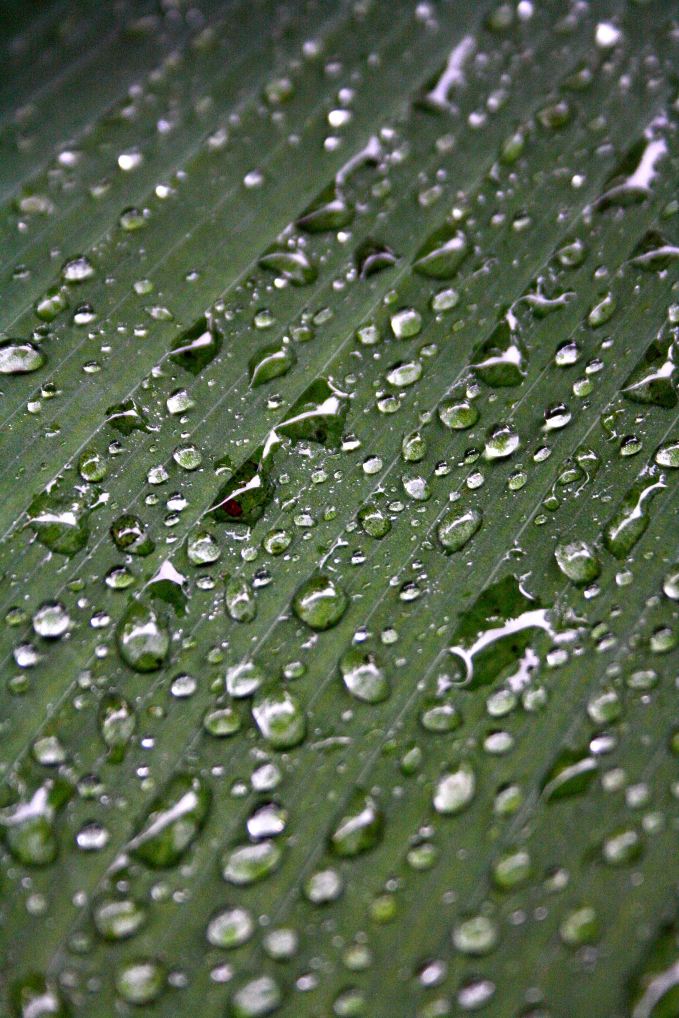 2600828945886